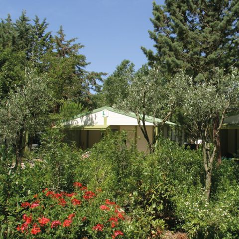 CHALET 4 personnes - Petit Chambre