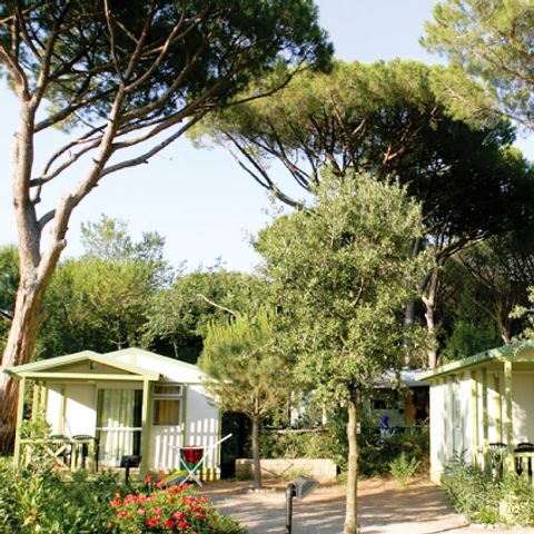 Chalet 5 personas - Club Cottage 5