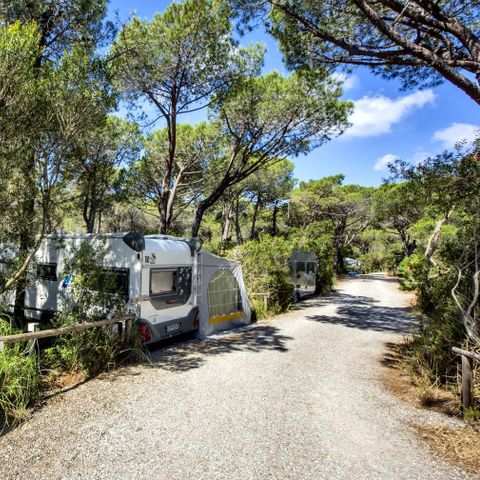 Kampeerplaats - VOOR CAMPER/CARAVAN/BUSAANHANGWAGEN TENT