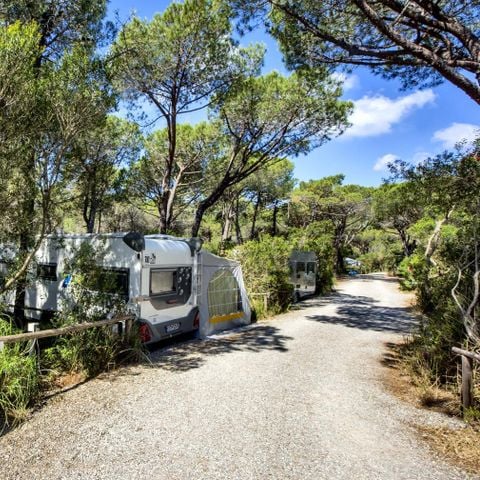 PIAZZOLA - PER CAMPER/CARAVAN/BUS/CARRELLO TENDA