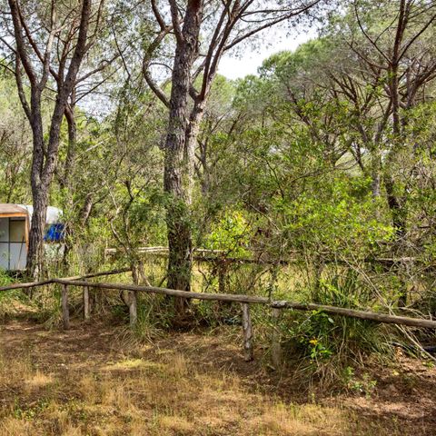 PIAZZOLA - PER TENDA