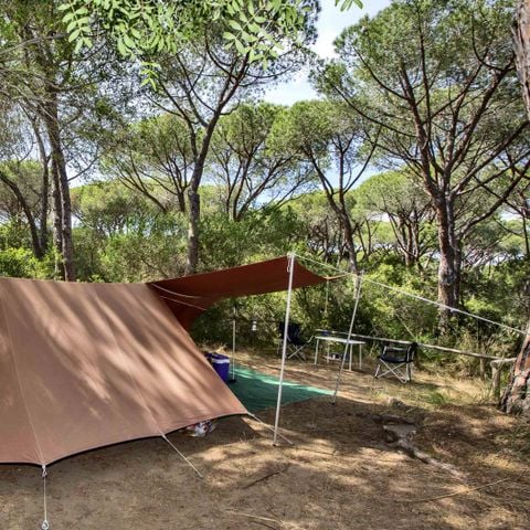 PARCELA - PARA CARPA