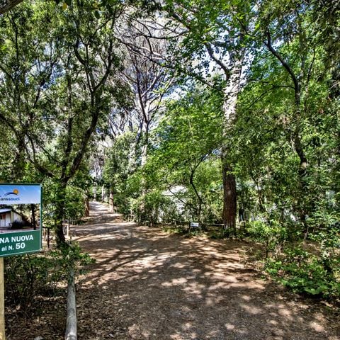 STAANPLAATS - VOOR TENT