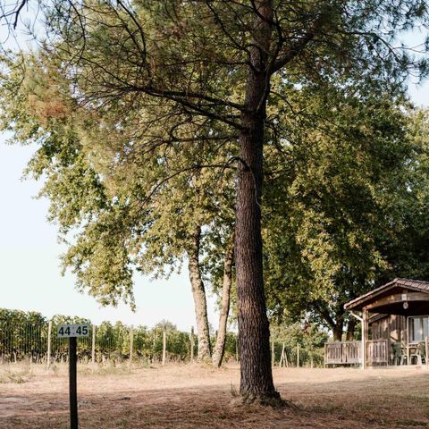 CHALET 5 persone - Chalet 2 - 40m² - 2 camere da letto