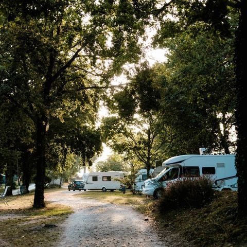 STAANPLAATS - Kampeerplaats Comfort