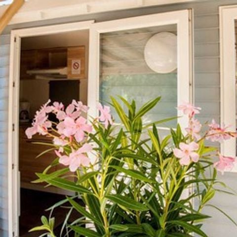 BUNGALOW 2 personnes - 19m² 1Chambre