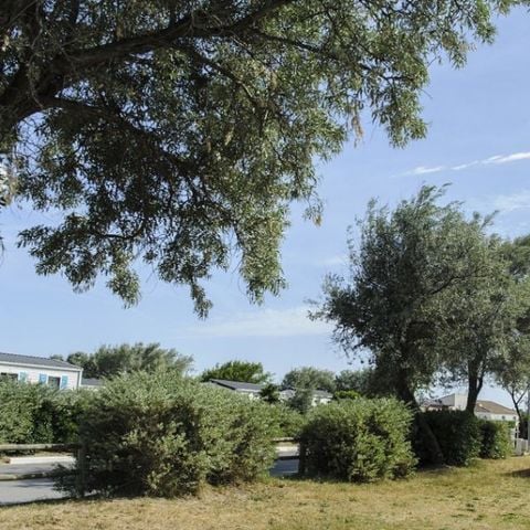 Kampeerplaats - Plaats 16 Ampère aansluiting