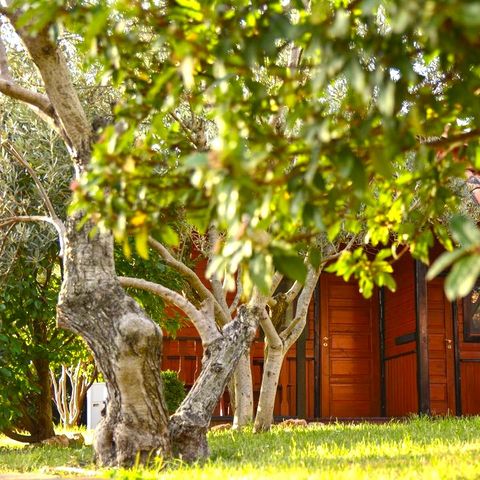 BUNGALOW 2 persone - Bungalow senza cucina letto matrimoniale