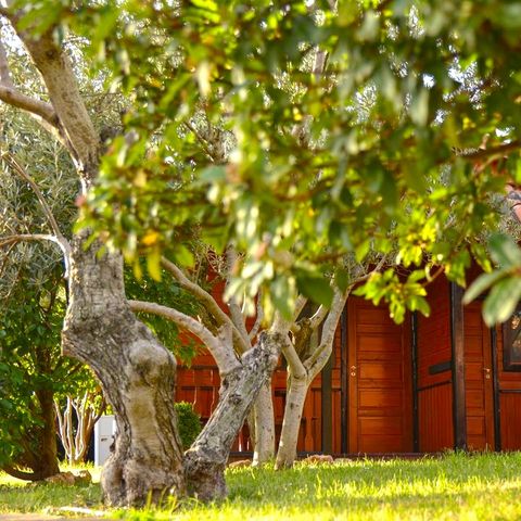 BUNGALOW 2 personnes - Bungalow pas de cuisine lits simples