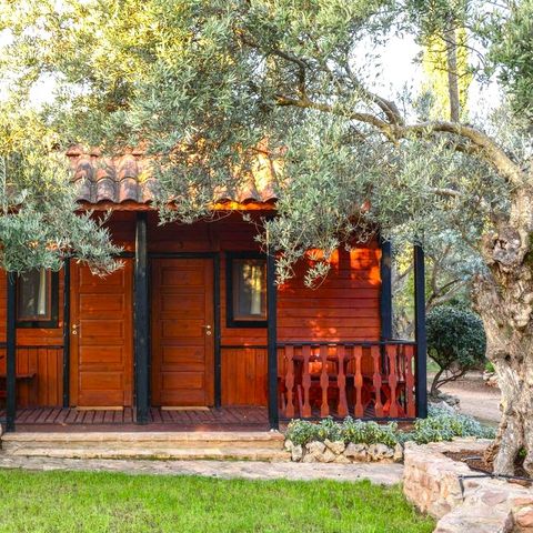 BUNGALOW 2 persone - Bungalow senza cucina letti singoli