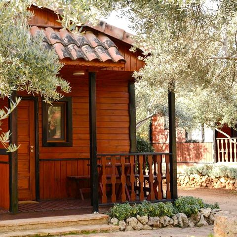 Bungalow 2 persons - Bungalow no kitchen single beds