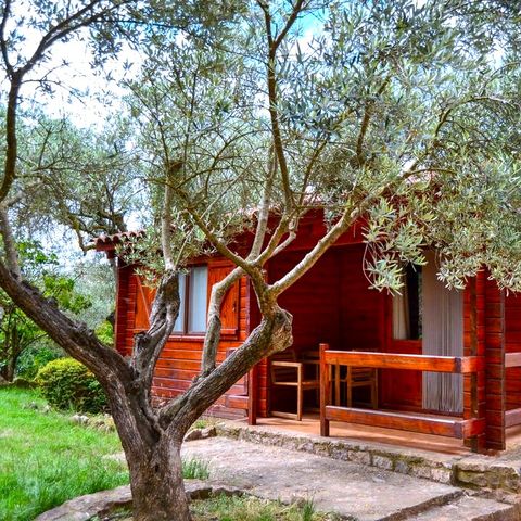 BUNGALOW 2 persone - Bungalow con cucina