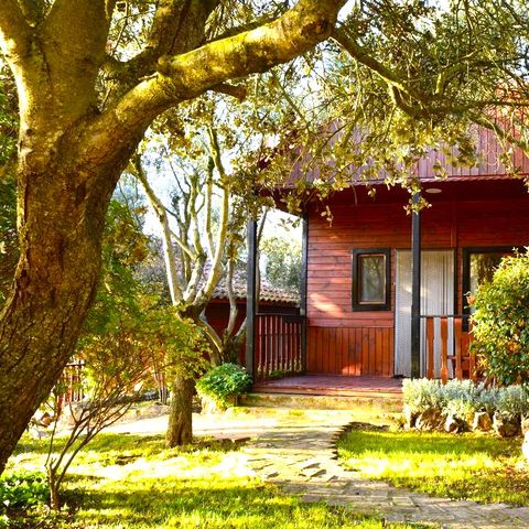 BUNGALOW 6 persone - Bungalow