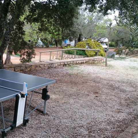 CAMPING ALQUEZAR - Camping Huesca - Image N°5