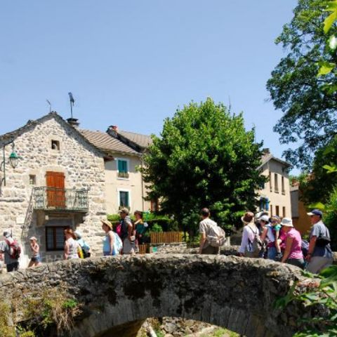 Village Vacances Les Sucs en Velay Village Vacances Les Sucs en Velay - Camping Haute-Loire - Image N°19
