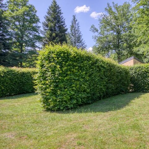 PARCELA - Parcela de 80 m²