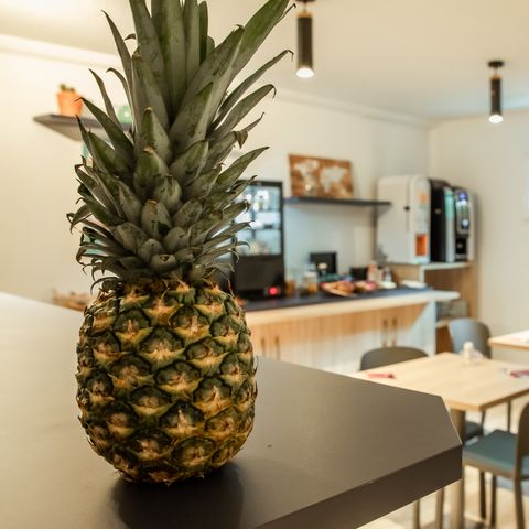Appart'Hôtel Brest - Camping Finistère - Image N°6