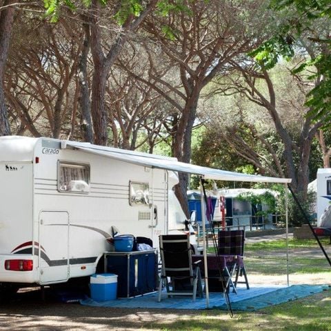 Stellplatz - WOHNWAGEN/CAMPINGBUS
