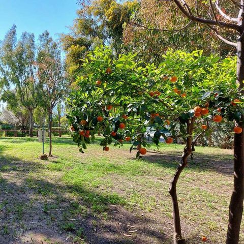 EMPLACEMENT - tente ou camping car ou caravane