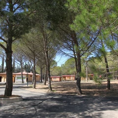 Stellplatz - Stellplatz