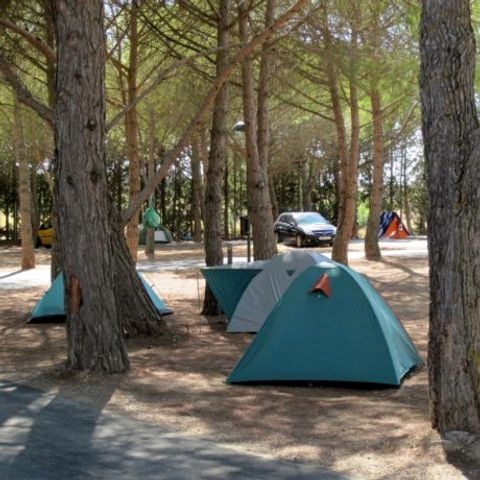 EMPLACEMENT - Emplacement