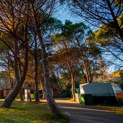 Stellplatz - Stellplatz