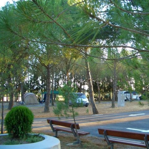 Camping Bolaso - Camping Saragosse - Image N°3