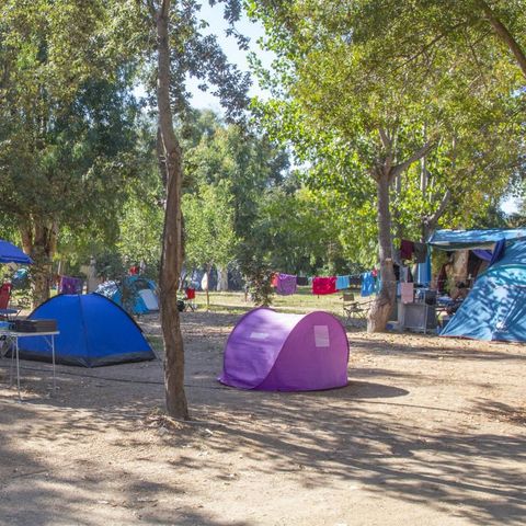 PLOT - Small tent pitch