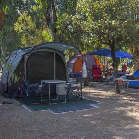 STAANPLAATS - Middelgrote tentplaats