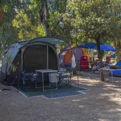 Stellplatz - Medium tent pitch