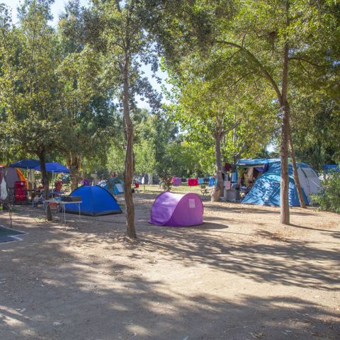 Kampeerplaats - Tentplaats