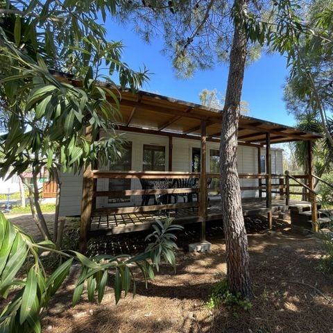 Mobile home 4 persons - Deluxe Barrili Type B