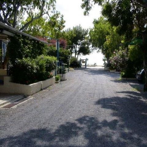 STAANPLAATS - Standplaats: auto + tent/caravan of camper + elektriciteit + water