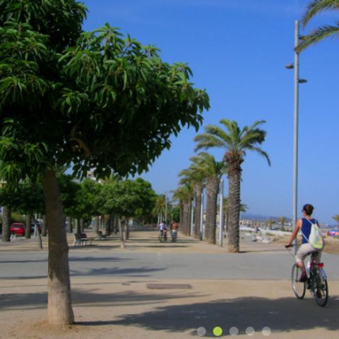 Camping Barcelona Camping Barcelona - Camping Barcelone - Image N°2