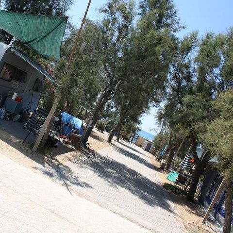 Kampeerplaats - 1 persoon + 1 tent 1 persoon