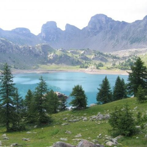 Résidence Central Park - Vacancéole - Camping Alpes-de-Haute-Provence - Image N°5