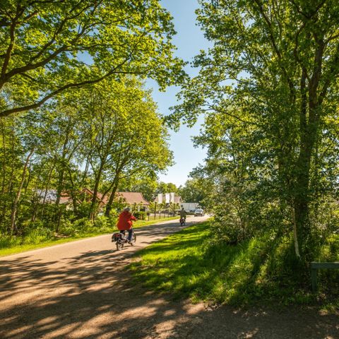 Country Resort de Papillon Country Resort de Papillon - Camping Dinkelland - Image N°62