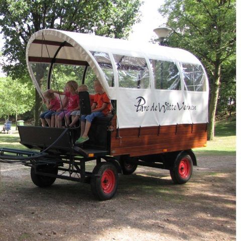 Camping Parc Witte Vennen Camping Parc Witte Vennen - Camping Venray - Image N°58