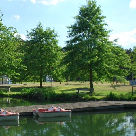 Camping Parc Witte Vennen Camping Parc Witte Vennen - Camping Venray - Image N°7