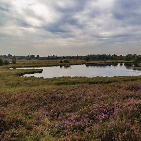Camping Parc Witte Vennen Camping Parc Witte Vennen - Camping Venray - Image N°49