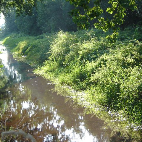 Camping Parc Witte Vennen Camping Parc Witte Vennen - Camping Venray - Image N°44