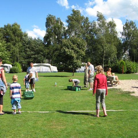 Camping Parc Witte Vennen Camping Parc Witte Vennen - Camping Venray - Image N°47