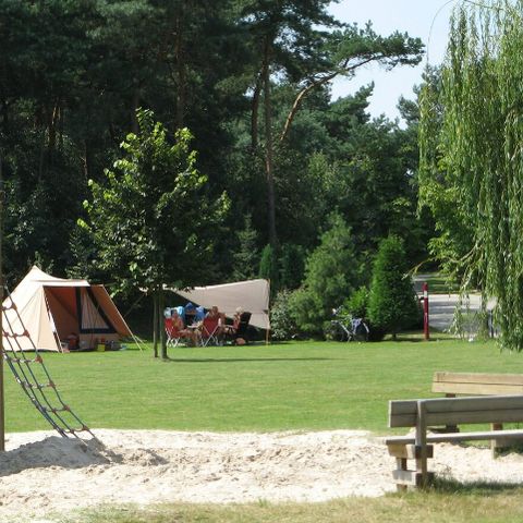 Camping Parc Witte Vennen Camping Parc Witte Vennen - Camping Venray - Image N°5
