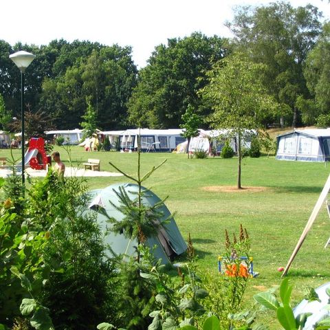 Camping Parc Witte Vennen Camping Parc Witte Vennen - Camping Venray - Image N°54