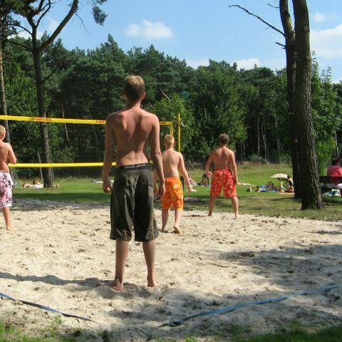Camping Parc Witte Vennen Camping Parc Witte Vennen - Camping Venray - Image N°6