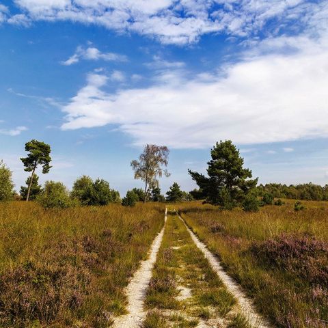 Camping Parc Witte Vennen Camping Parc Witte Vennen - Camping Venray - Image N°47