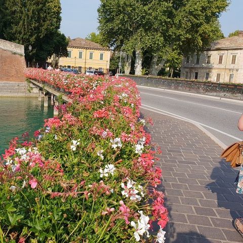 Camping del Garda Camping del Garda - Camping Vérone - Image N°82