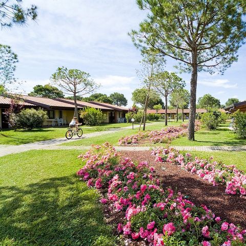 Camping del Garda Camping del Garda - Camping Vérone - Image N°63