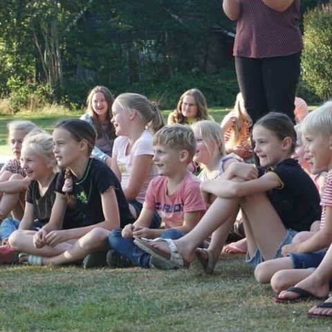 Vakantiepark Sallandshoeve Vakantiepark Sallandshoeve - Camping Raalte - Image N°25