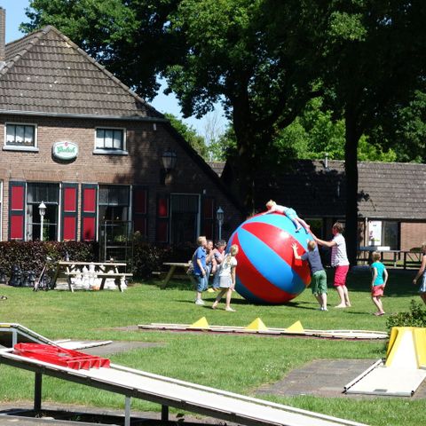 Vakantiepark Sallandshoeve Vakantiepark Sallandshoeve - Camping Raalte - Image N°40